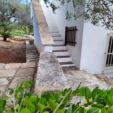 Holiday home Casa Terradico